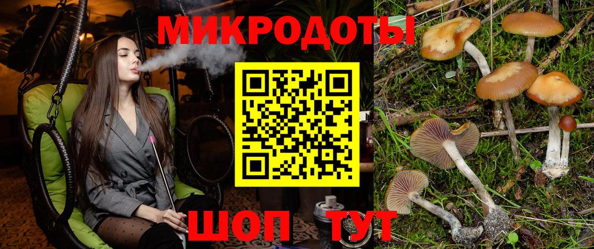 Псилоцибиновые грибы прущие грибы Азнакаево